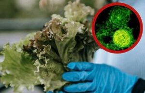 Confirman primeras muertes por ciclosporiasis; autoridades mantienen vigilancia por brote del parásito