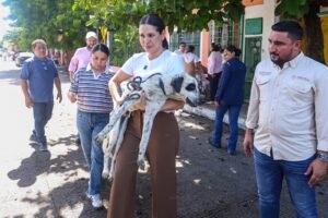 Estefanía Mercado encabeza operativo de rescate de ocho caninos en situación vulnerable